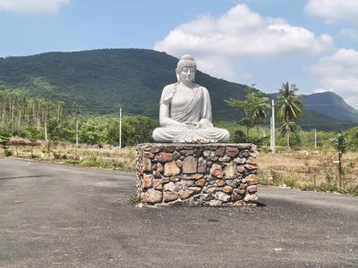 Leo Royal Plot View 1