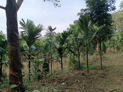 Image of 100000 Sq.ft Residential Plot / Land for sale in Koppa, Chikkamagaluru for Rs. 65000000