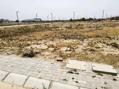 Residential Plot