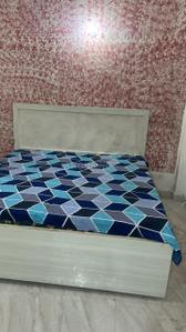 Bedroom Image of 800 Sq.ft 1 BHK Builder Floor for rent in Sector 55 Gurgaon for Rs. 26000