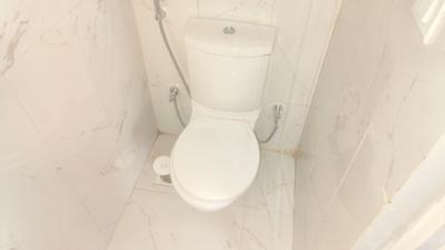 Bathroom Image of 445 Sq.ft 1 BHK Apartment / Flat for rent in Runwal Gardens, Dombivli East Thane for Rs. 10000