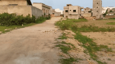 Tilta Plot View 2