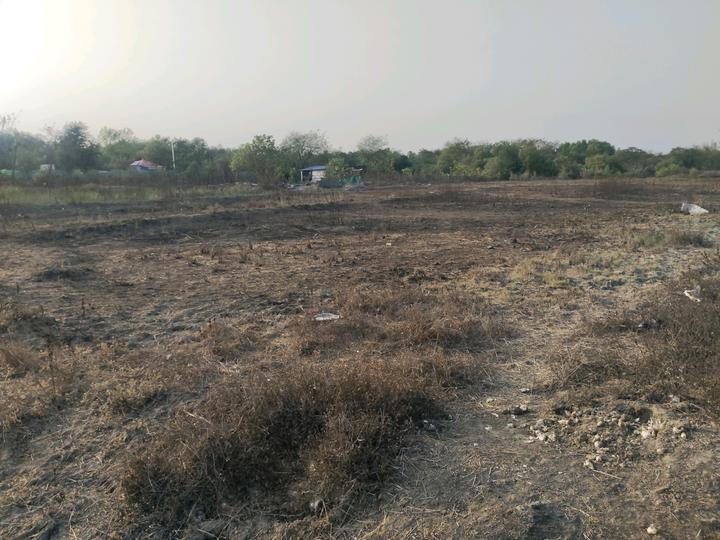 Mahamumbai Plots In Sarde Main Image 1