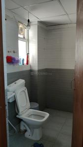 Bathroom Image of 500 Sq.ft 1 BHK Apartment / Flat for sale in ROF Amaltas, Sector 92 Gurgaon for Rs. 4200000