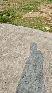 Image of 1426 Sq.ft Residential Plot / Land for sale in Kandhauli, Dehradun for Rs. 8700000