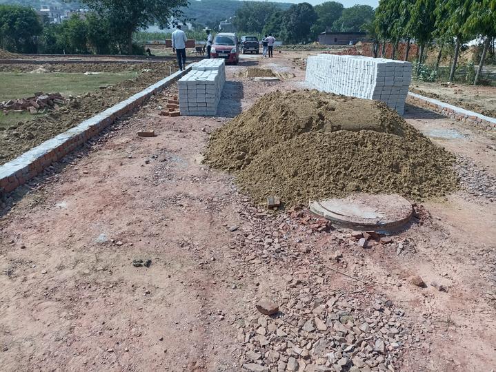 Royal green society Main Image 1