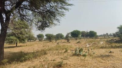 Image of 2952 Sq.ft Residential Plot / Land for sale in Jagatpura, Jaipur for Rs. 19680000