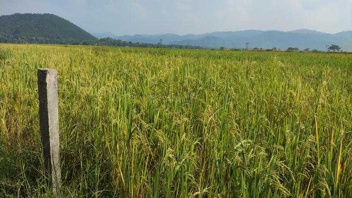 Borjhar Main Image 1