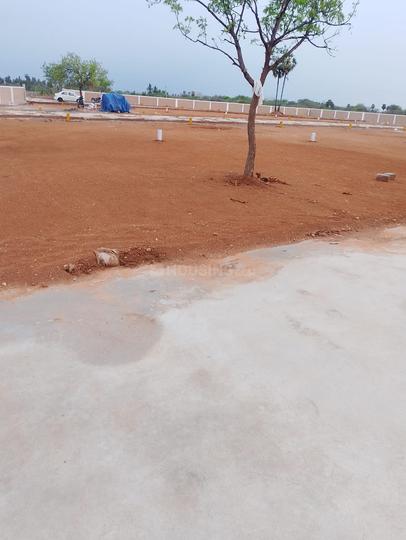 Tiruchirappalli City Main Image 1