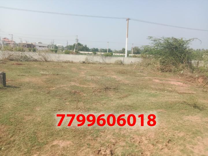 Kolamuru Main Image 1