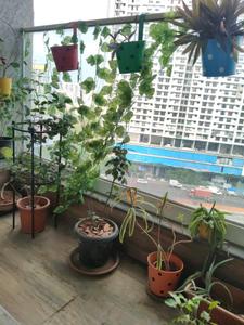 Living Room Image of 650 Sq.ft 2 BHK Apartment / Flat for sale in Ashar Axis, Thane West Thane for Rs. 14500000