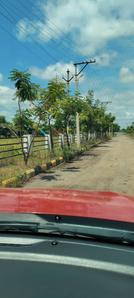 Residential Plot