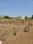 Hirapur Plot View 2