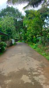 Kunnathery Thikavu Plot View 1