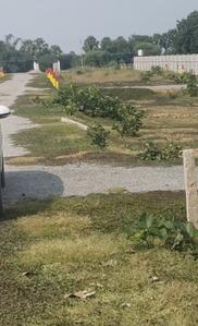 Image of 1360 Sq.ft Residential Plot / Land for sale in Chandauti, Gaya for Rs. 775000
