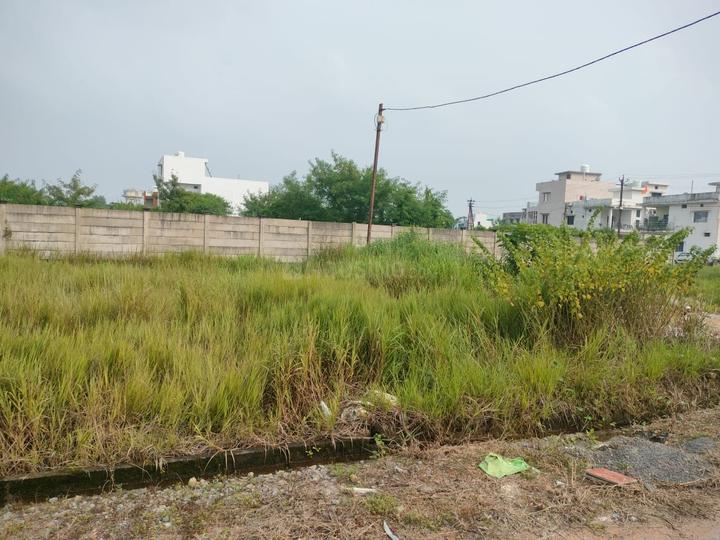 Old Dhamtari Road Main Image 1