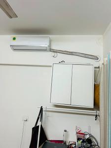Bedroom Image of 610 Sq.ft 1 BHK Apartment / Flat for rent in Amanora Arbano Towers, Hadapsar Pune for Rs. 35000