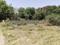 Green city plots Main Image 1