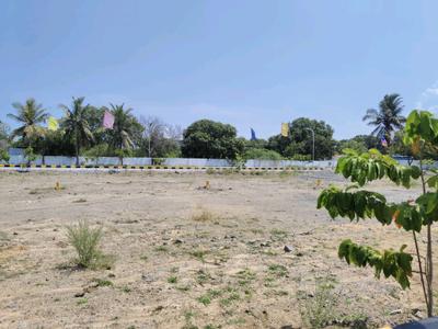 Residential Plot