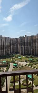 Balcony Image of 900 Sq.ft 2 BHK Apartment / Flat for rent in Logix Blossom County, Sector 137 Noida for Rs. 27000