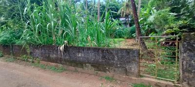 Image of 5880 Sq.ft Residential Plot / Land for sale in Viyyoor, Thrissur for Rs. 9585000