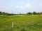 Natures Paradise Main Image 1