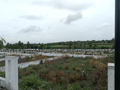 Residential Plot
