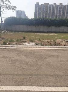 Sector 80 huda plot Plot View 1