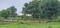 Janori Plot View 2
