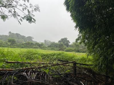Residential Plot