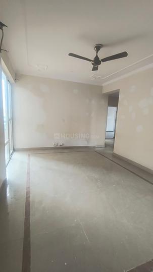 Orchid Petals Main Image 1