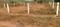 Duvvada Plot View 2