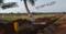Bhogapuram Plot View 2