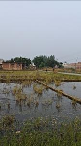Image of 1200 Sq.ft Residential Plot / Land for sale in Sarai Gulharia, Gorakhpur for Rs. 3600000