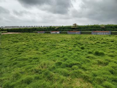 Image of 800 Sq.ft Residential Plot / Land for sale in Shanti Greens, Kanadiya, Indore for Rs. 4800000