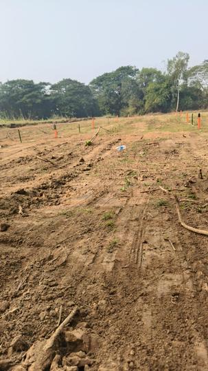 Spark land Main Image 1