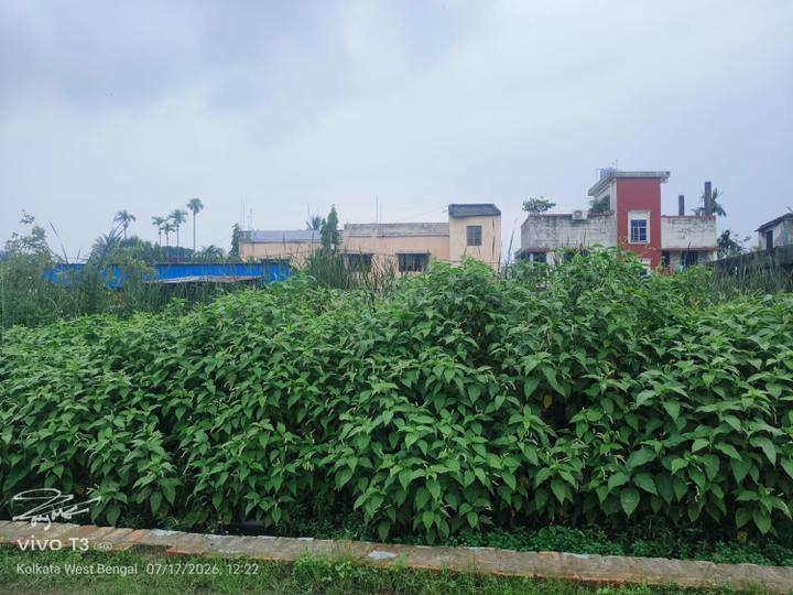 Rajarhat Chowmatha Main Image 1