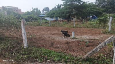 Image of 2387 Sq.ft Residential Plot / Land for sale in Uthukuli, Pollachi for Rs. 3410000