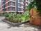 Fortune Modern Flats Balcony 1