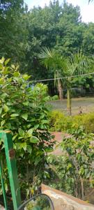 Image of 220 Sq.ft Residential Plot / Land for sale in Premier Urban, Sector 14, Gurgaon for Rs. 65000000