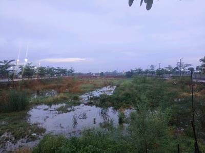 Image of 123 Sq.ft Residential Plot / Land for sale in Skywhales Vienna Greens II, Sector 99A, Gurgaon for Rs. 22800005