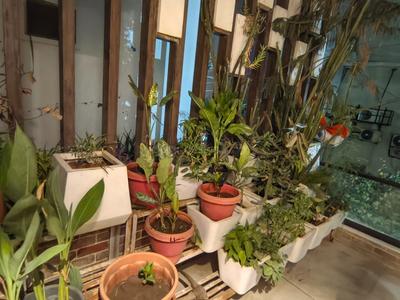 Image of 1200 Sq.ft 2 BHK Apartment / Flat for rent in L I G Colony, Indore for Rs. 23000