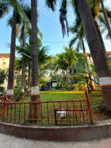 Image of 750 Sq.ft 2 BHK Apartment / Flat for rent in Vashi, Navi Mumbai for Rs. 36000