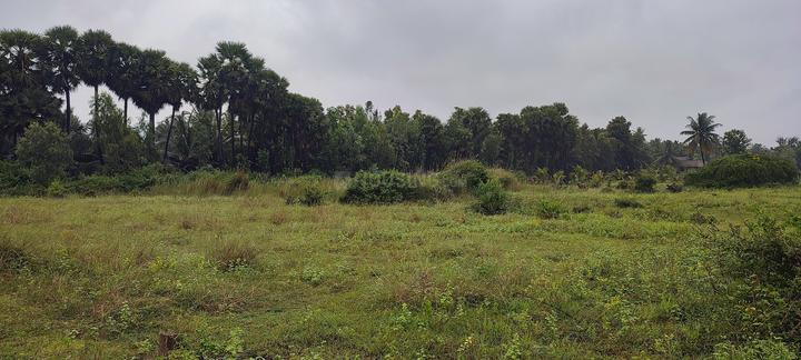 Gajapatinagaram Main Image 1