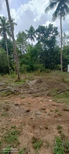 Angamaly Main Image 1