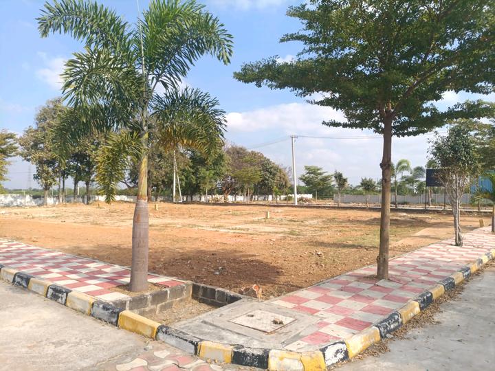 Golden City Main Image 1