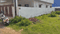 Simaliya Plot View 2