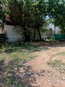 Image of 6000 Sq.ft Residential Plot / Land for sale in Neelankarai, Chennai for Rs. 100000000