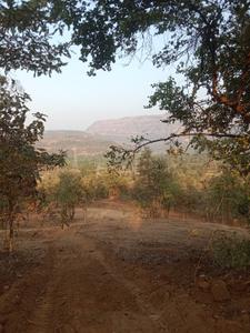 Agricultural Land