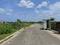 Vikaa Aranya Garden Internal Roads 1